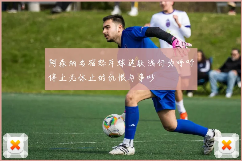 阿森纳名宿怒斥球迷肤浅行为呼吁停止无休止的仇恨与争吵
